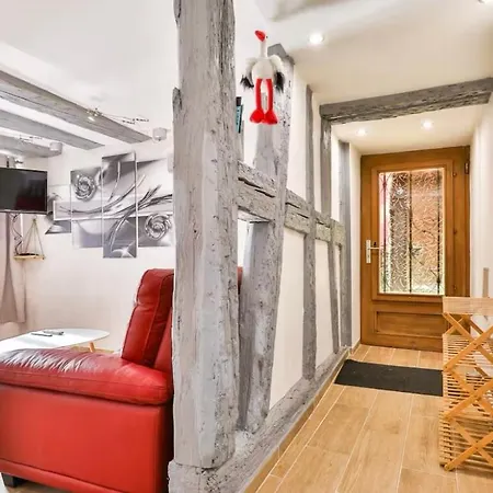 L'alsacienne Et شقة